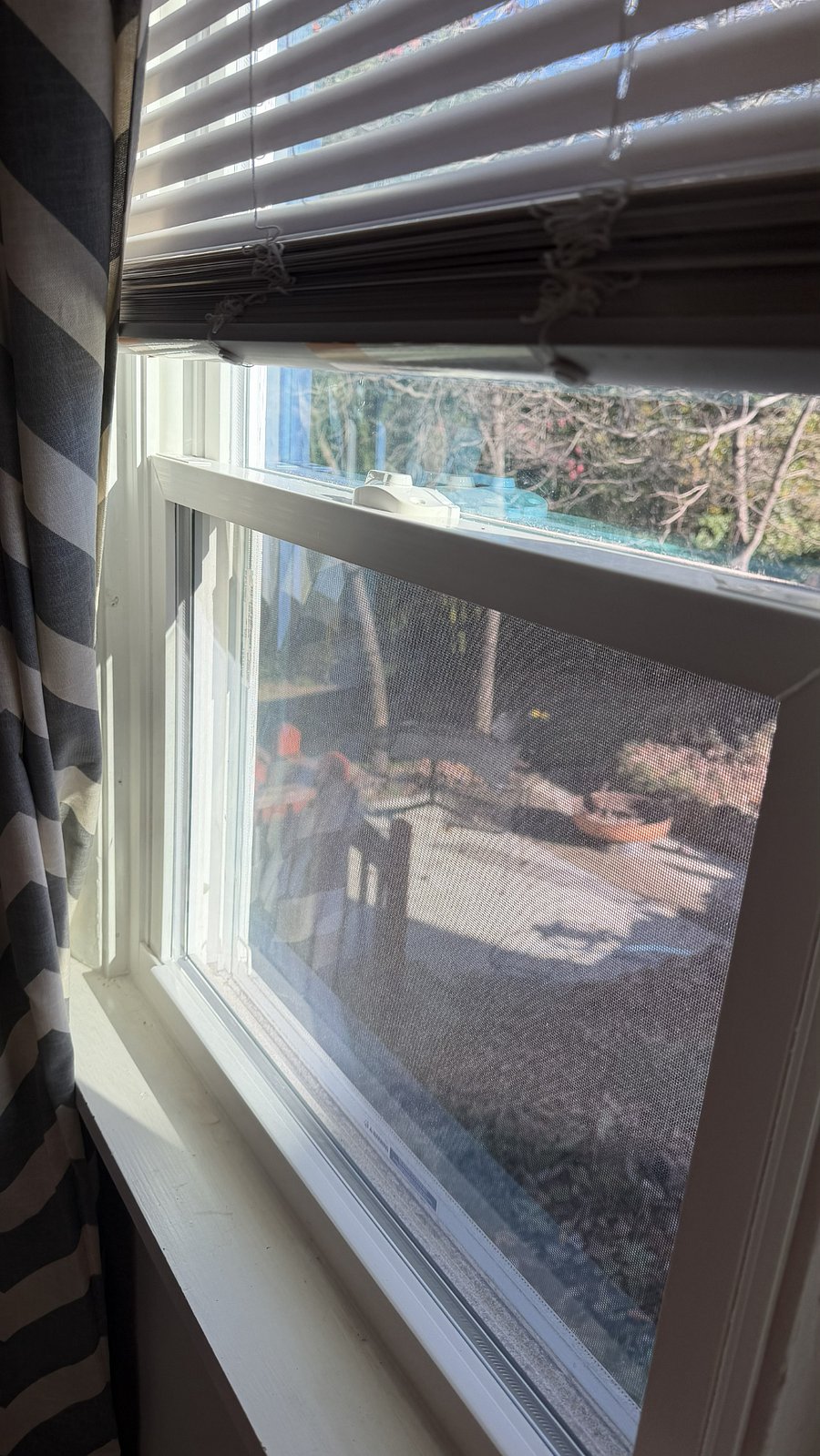 Both bedrooms have new replacement windows in 2025
