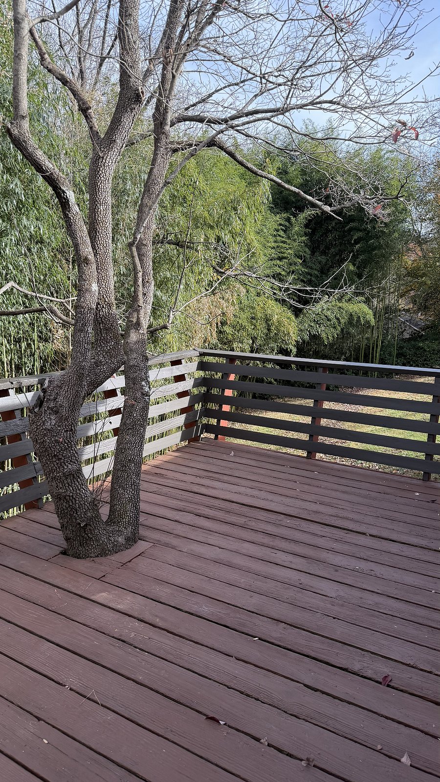 Furnished Finder property 703025_1 photo 23