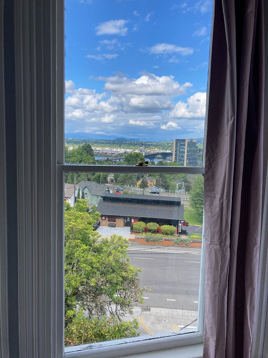 View from Bedroom