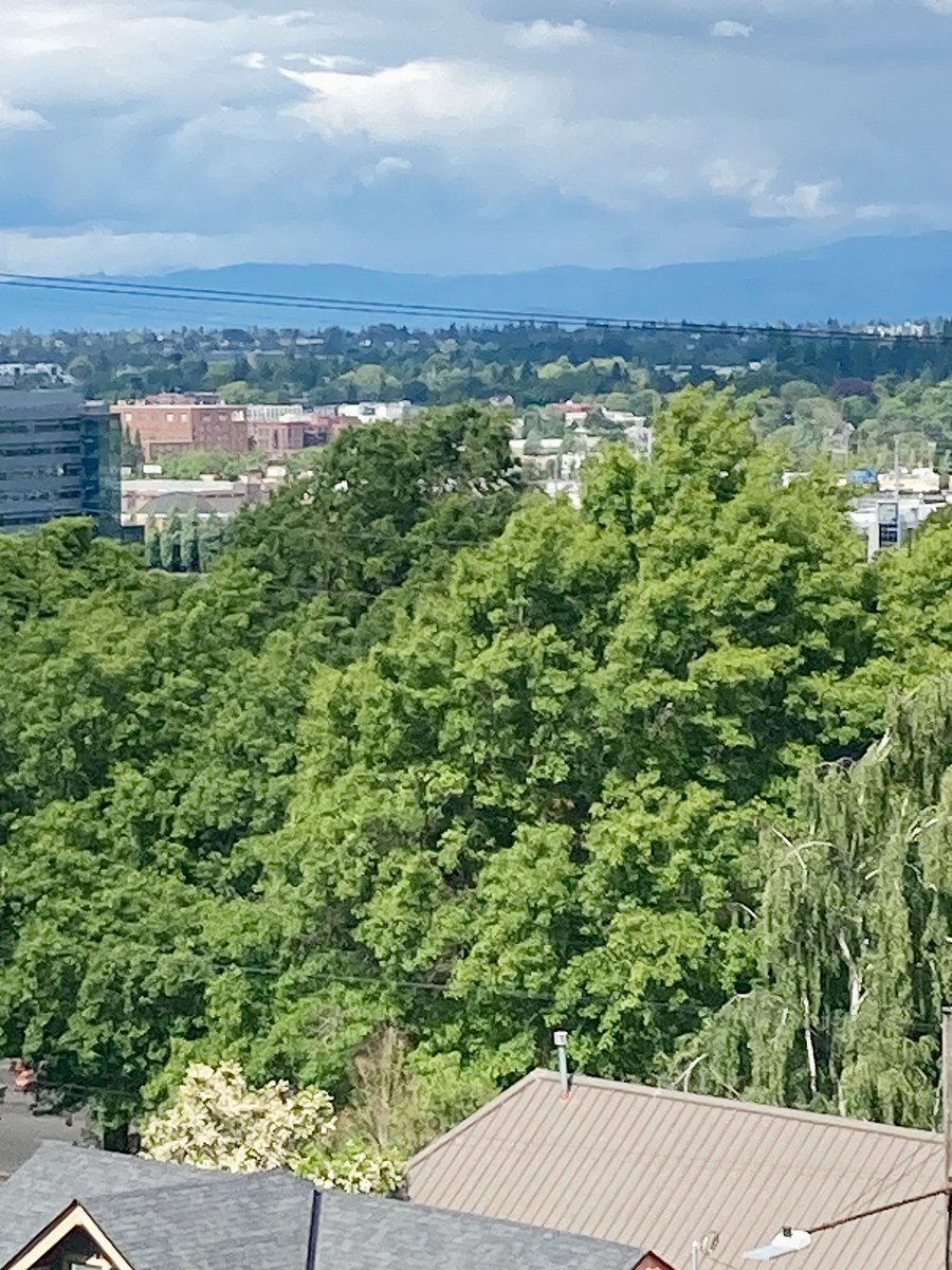 View from Bedroom