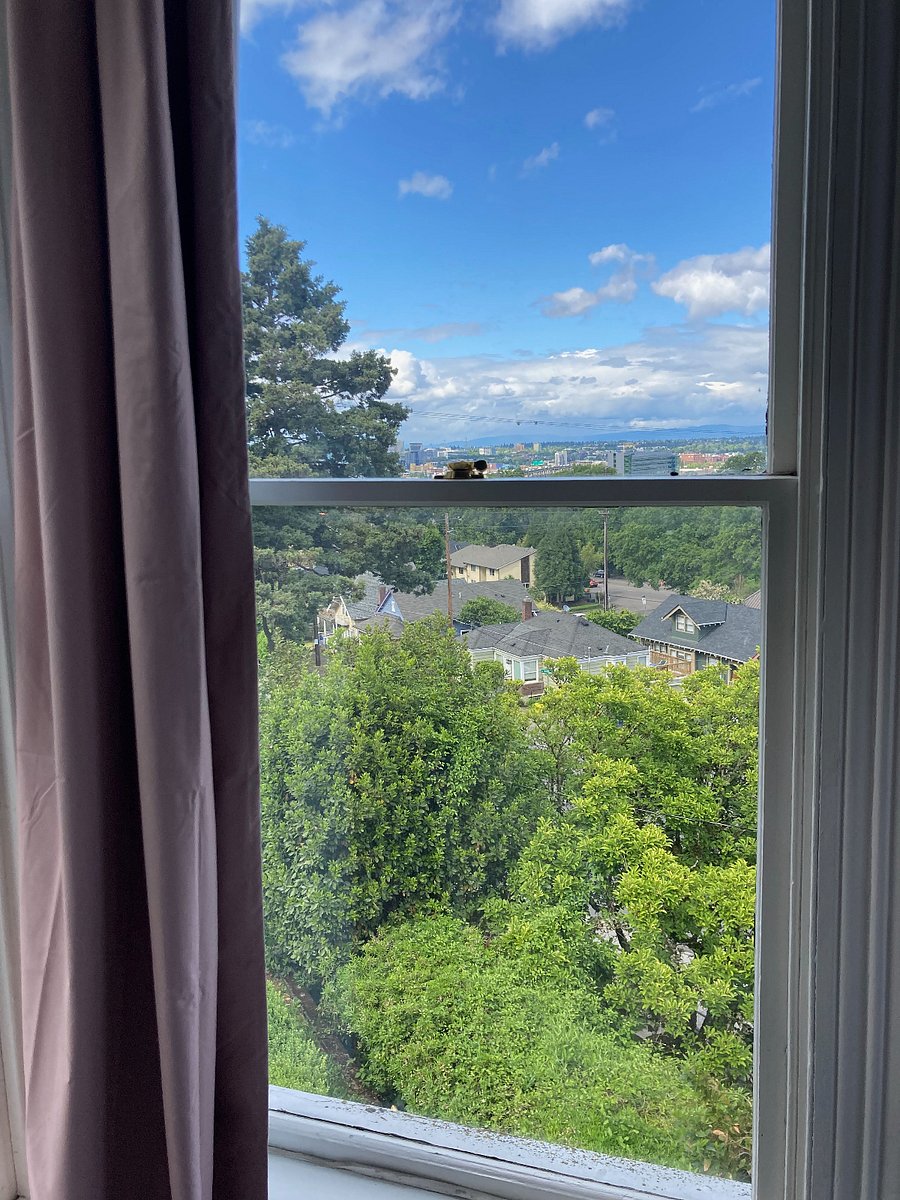 View from Bedroom