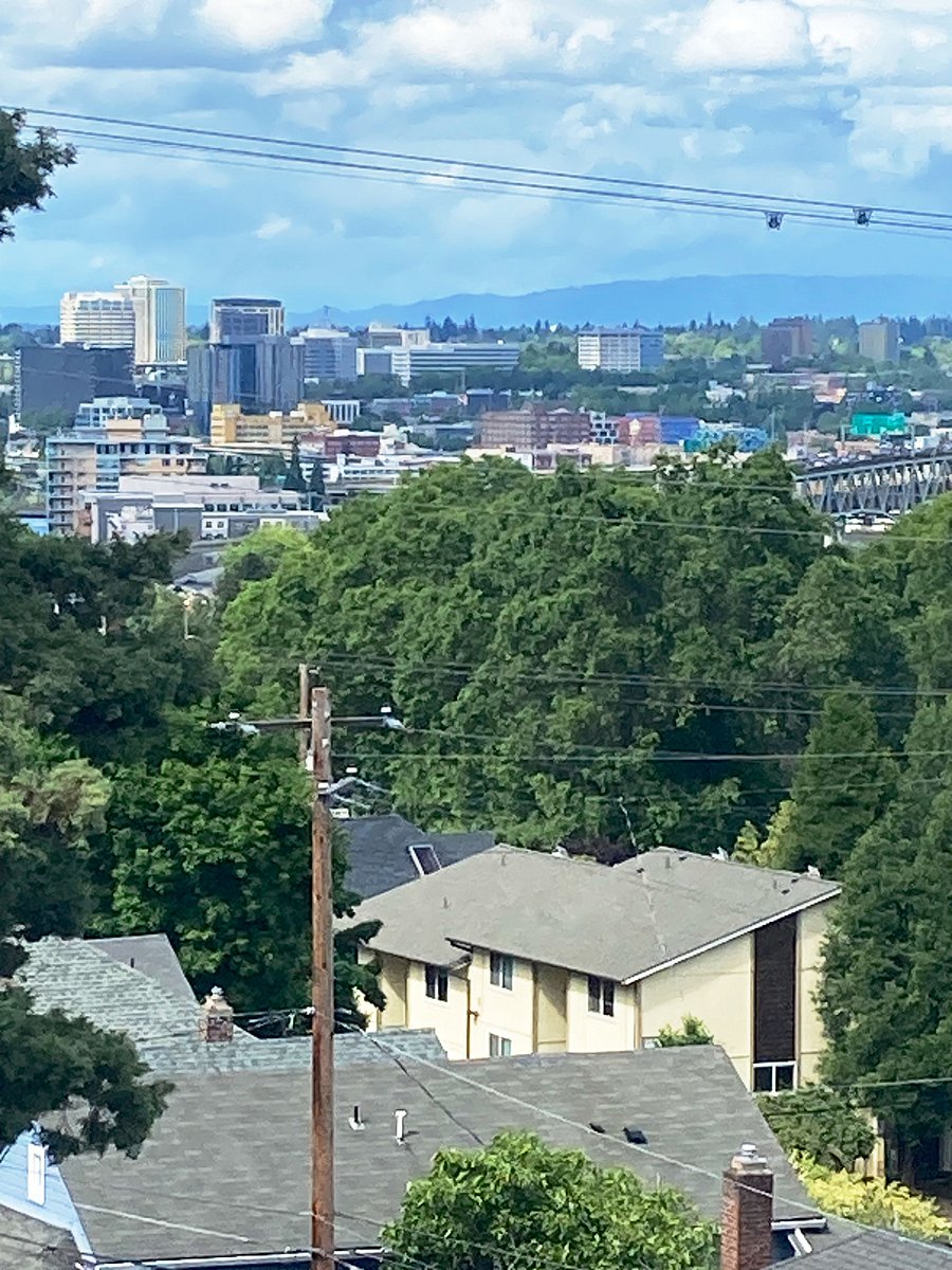 View from Bedroom