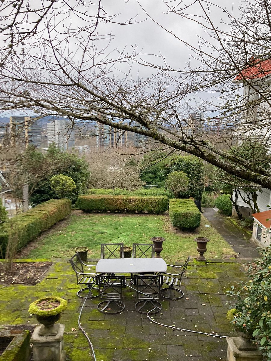 Yard and Patio