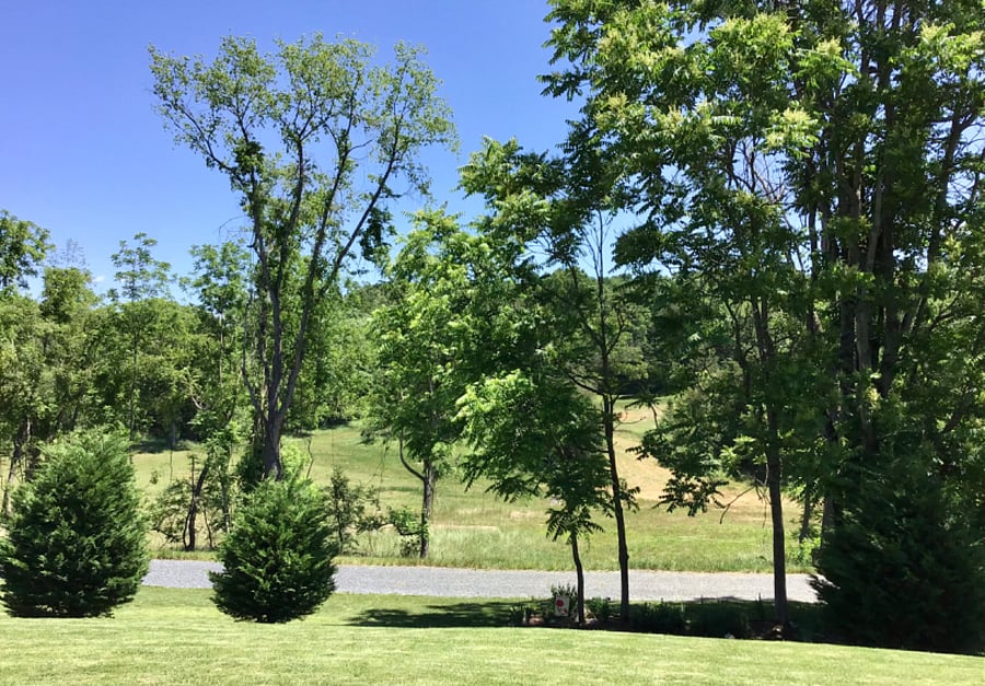 A view down the hill from the pavered sidewalk.