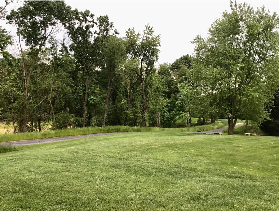 The side yard and part of the walking trail/access road.