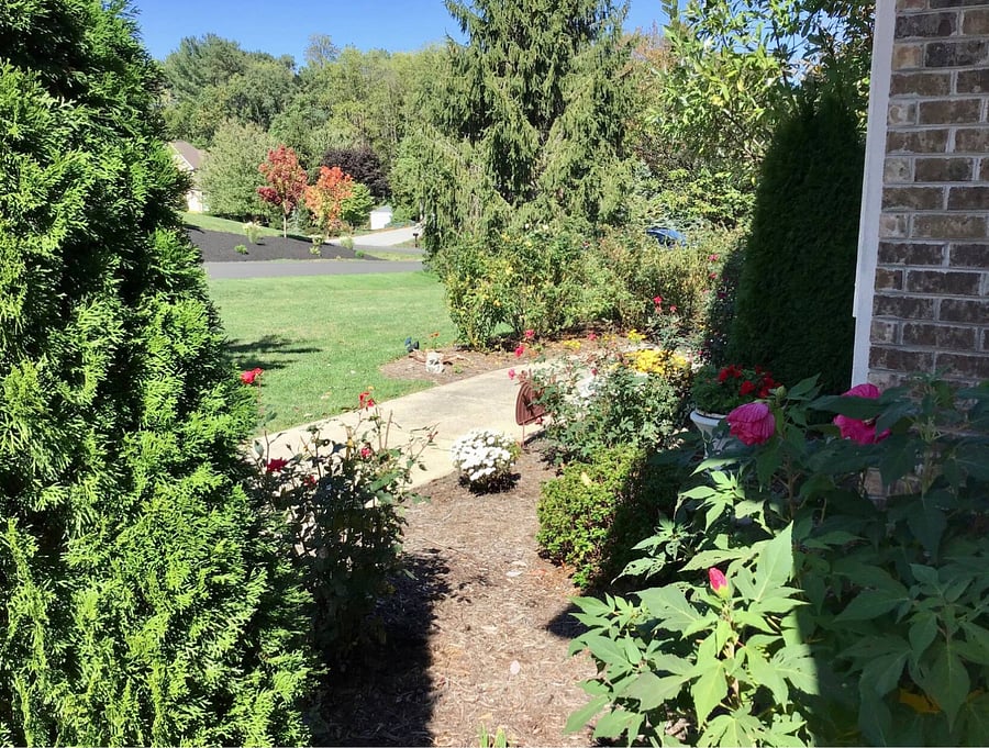 Fall view, the neighbors take care of their homes and yards, which makes it a really nice place to live.