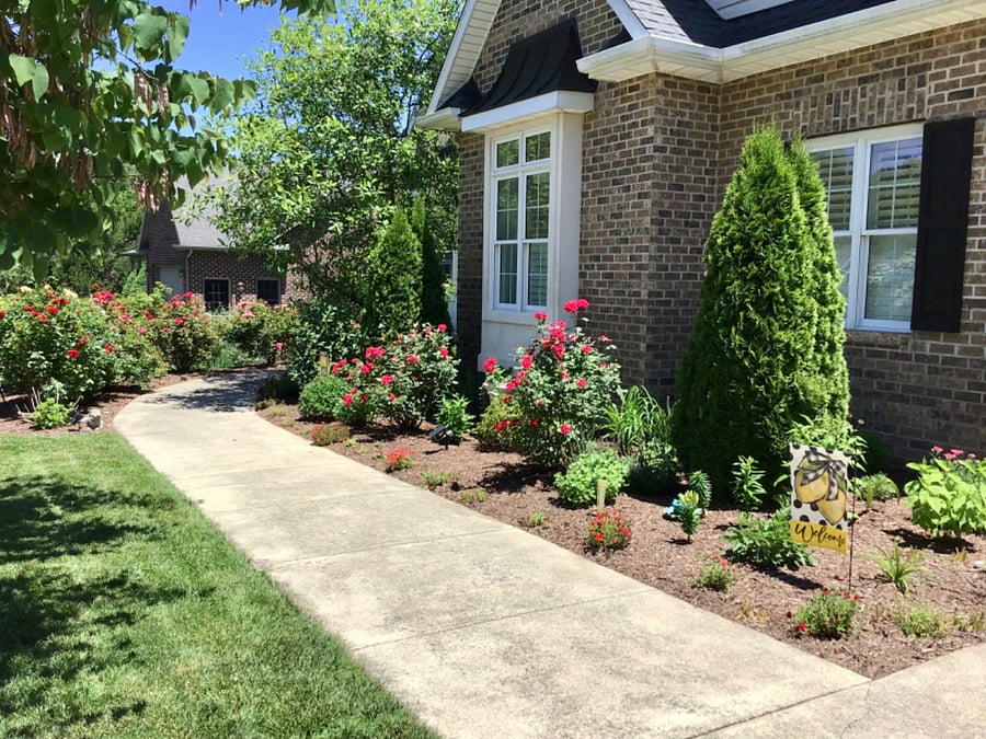 Side view of front of house from the driveway.