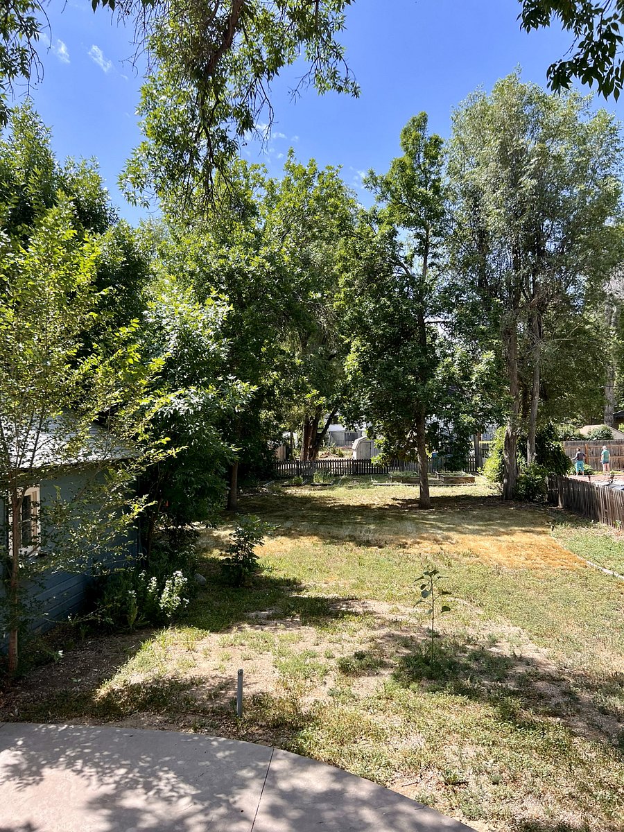 Huge fenced in backyard