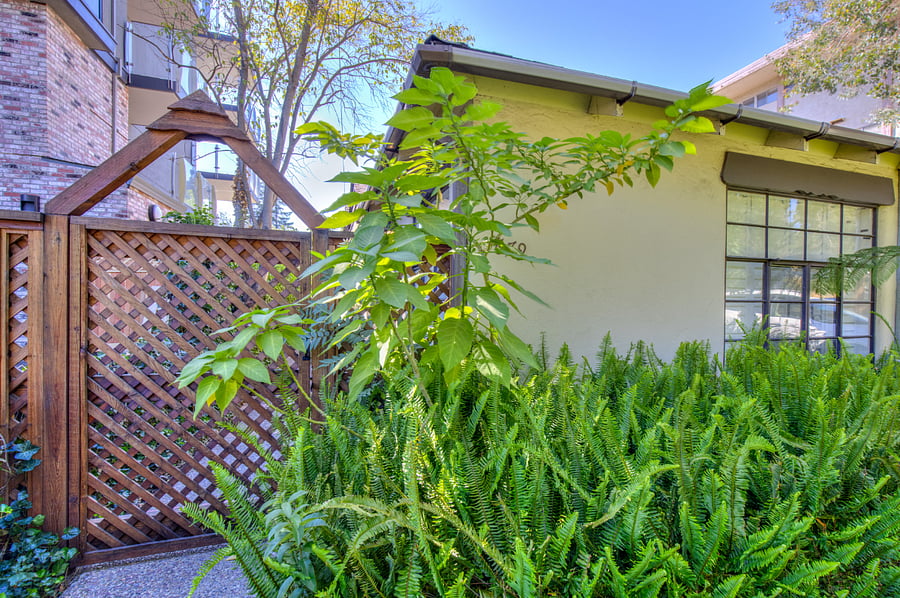 Furnished Finder property 703275_1 photo 1