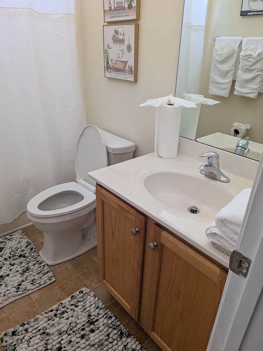 Furnished Finder property 703552_1 photo 6