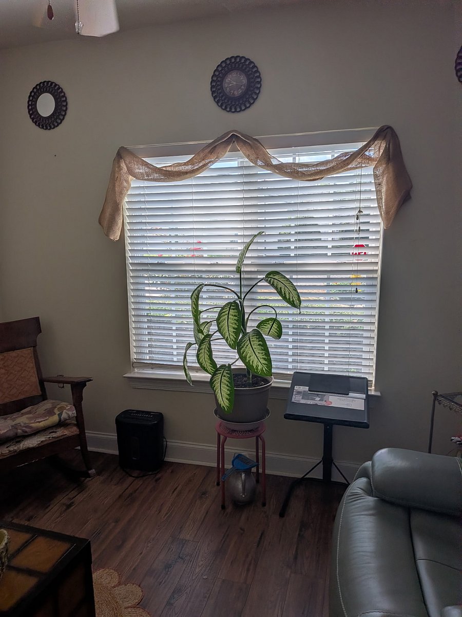 Furnished Finder property 703552_1 photo 10