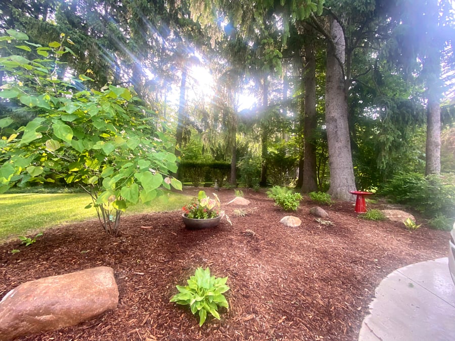 Enjoy a stunning, peaceful backyard filled with trees and charming birdhouses. Beyond the gate, you'll find a second outdoor space featuring Adirondack chairs and a horseshoe game, perfect for relaxation and fun.