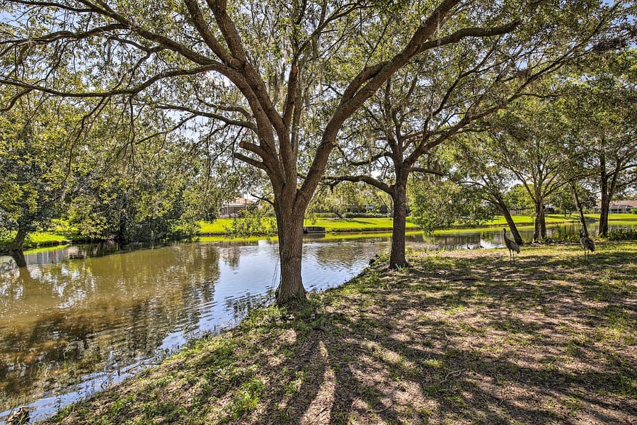 Furnished Finder property 703633_1 photo 25
