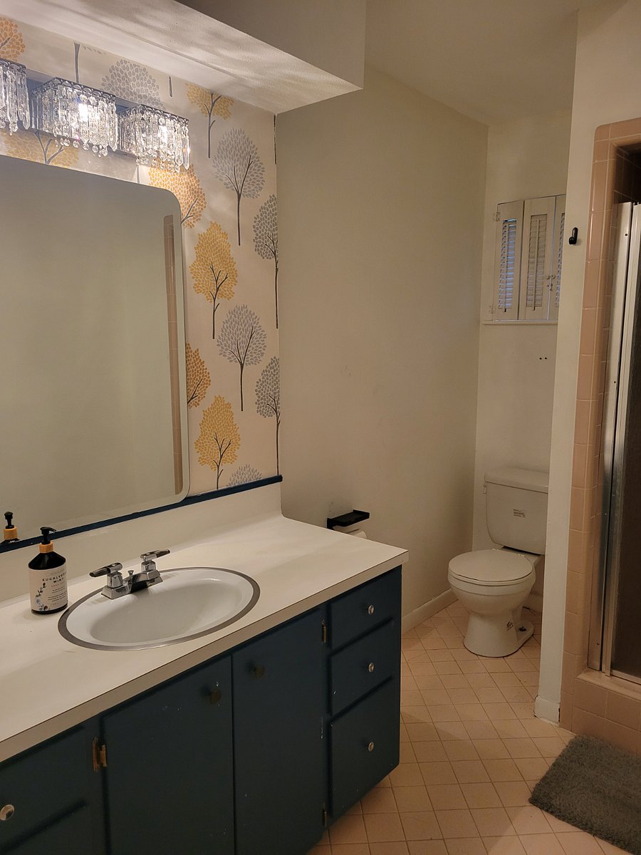 Furnished Finder property 703766_1 photo 13