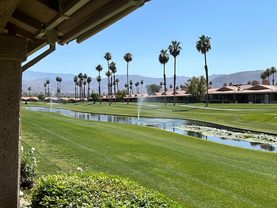 Patio view