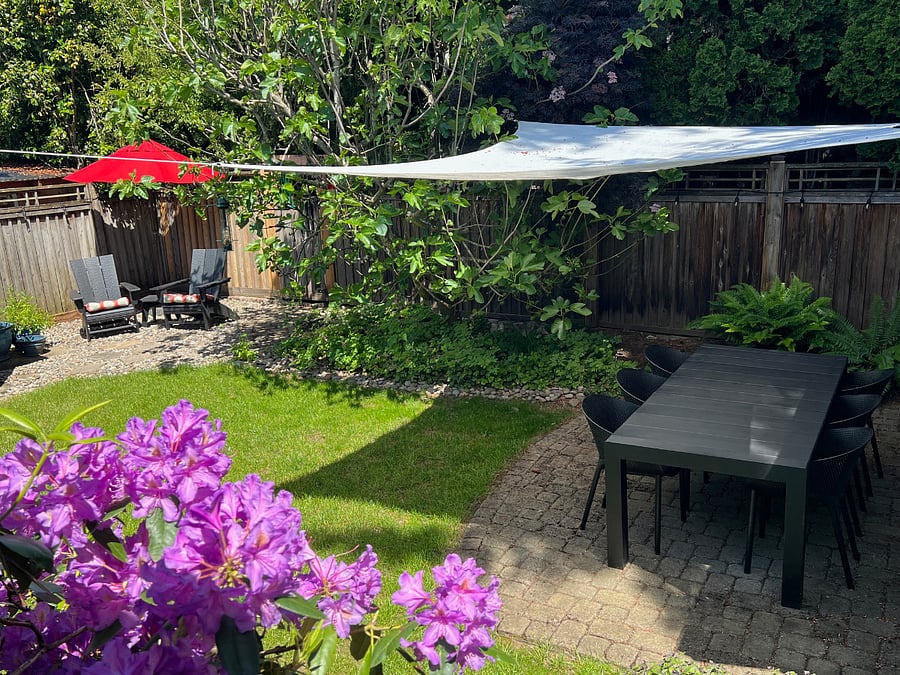 Backyard