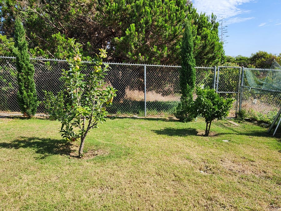 Furnished Finder property 703933_1 photo 26