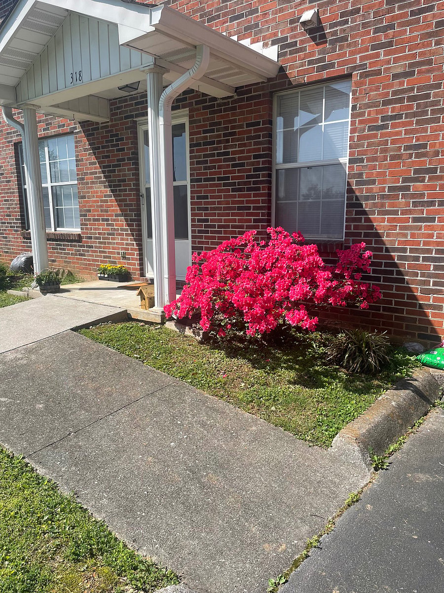 Furnished Finder property 703976_1 photo 24