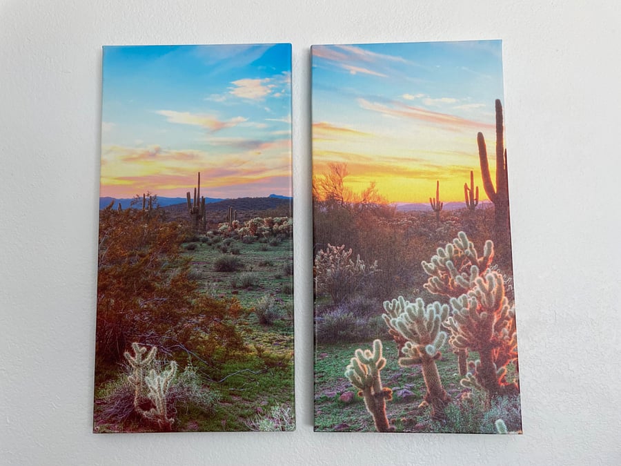 Arizona artwork throughout