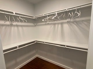 primary bedroom walk-in closet