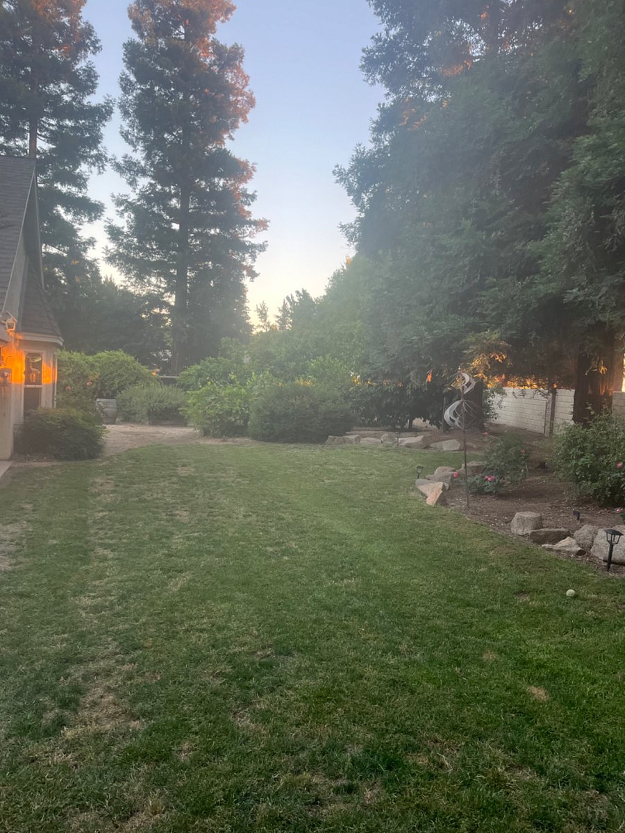 Large grass area and entrance to garden