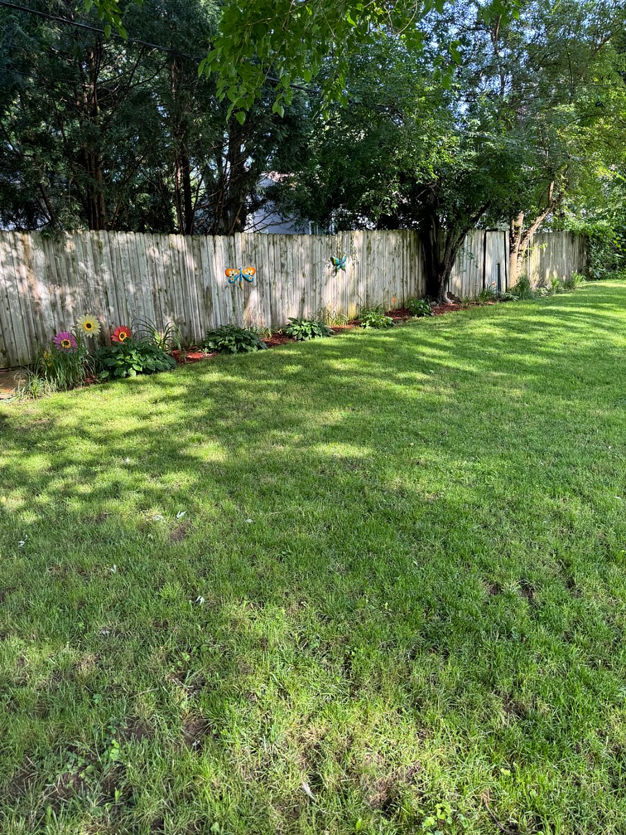 Furnished Finder property 704568_1 photo 11