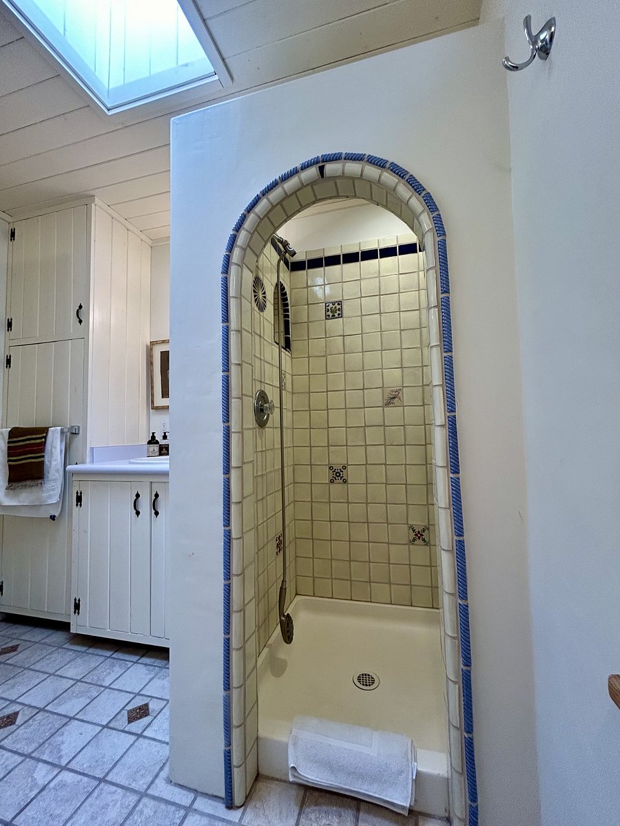 Wash basin and shower stall detail under skylight.