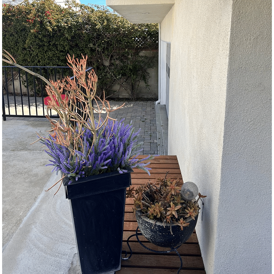 Furnished Finder property 704666_1 photo 3