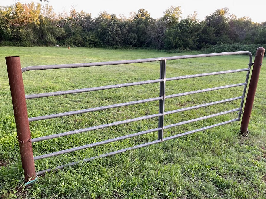 Explore beyond the yard and immerse yourself in the 4+ acres of Whitewood Farm.  Watch the bunnies scurry, the deer wander, and watch the birds migrate.