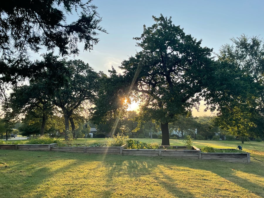 The fully-fenced, half-acre yard around the farmhouse is exclusively for tenants.