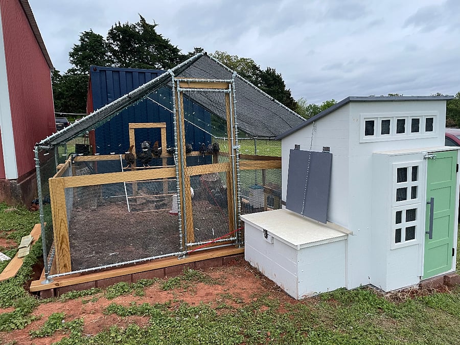 We have chickens housed in the 4+ acre shared space grounds surrounding the farmhouse.  Feel free to go by and say hi, but please do not enter their space.