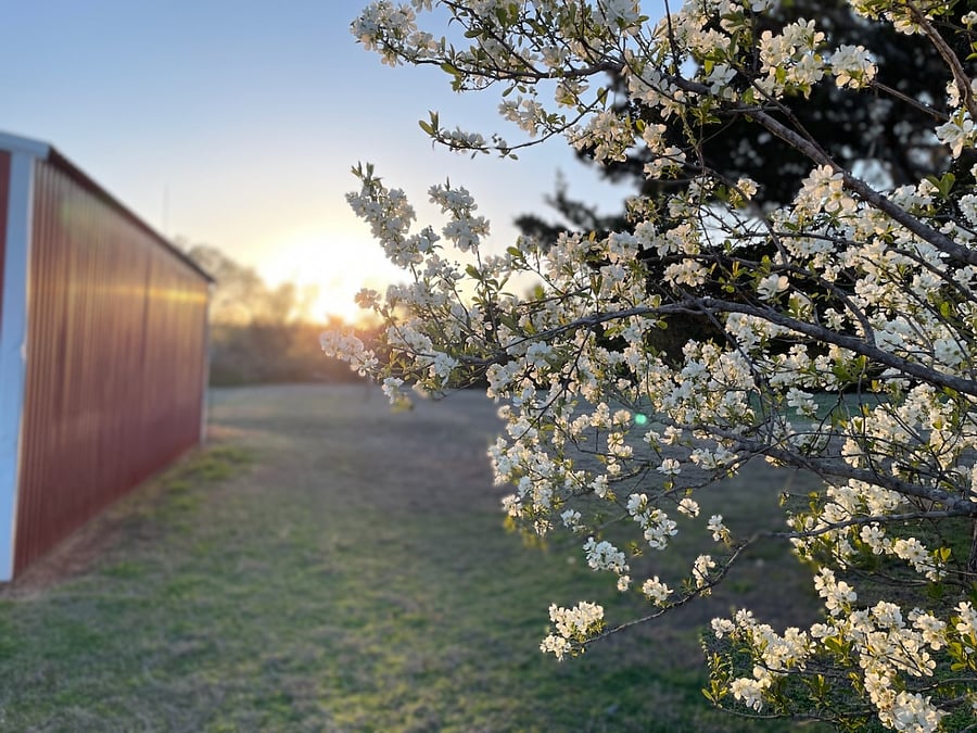 Wander through picturesque scenery of the 4+ acres around the farmhouse.  Take in the fresh country air and create unforgettable memories in our beautiful setting.