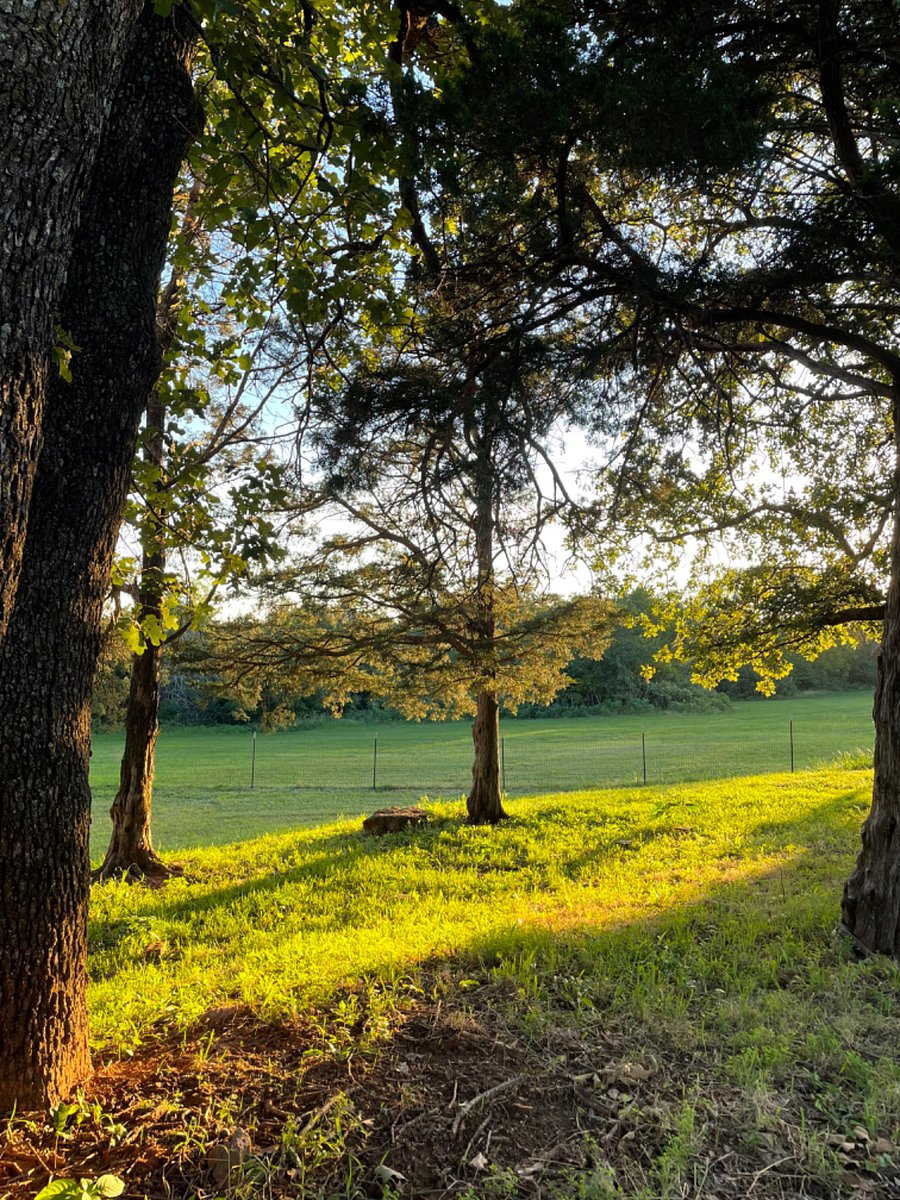 Enjoy the seasons at the farm. The 4+ acre shared spaces is available for you to explore.