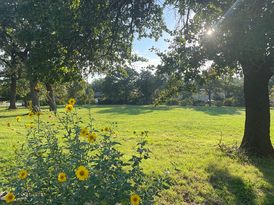 Experience the beauty of the farm's expansive shared spaces, where over 4 acres of picturesque landscapes await your exploration. Breathe in the fresh air, bask in the sunshine, and lose yourself in the tranquility of nature.