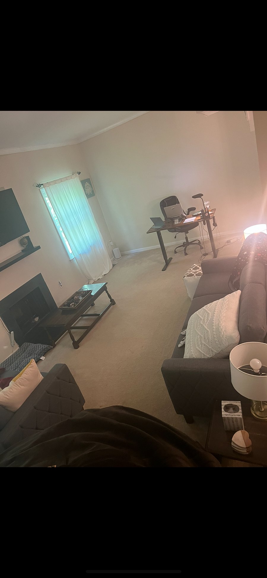 Furnished Finder property 704818_1 photo 6