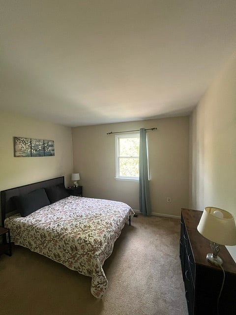 Furnished Finder property 704818_1 photo 11