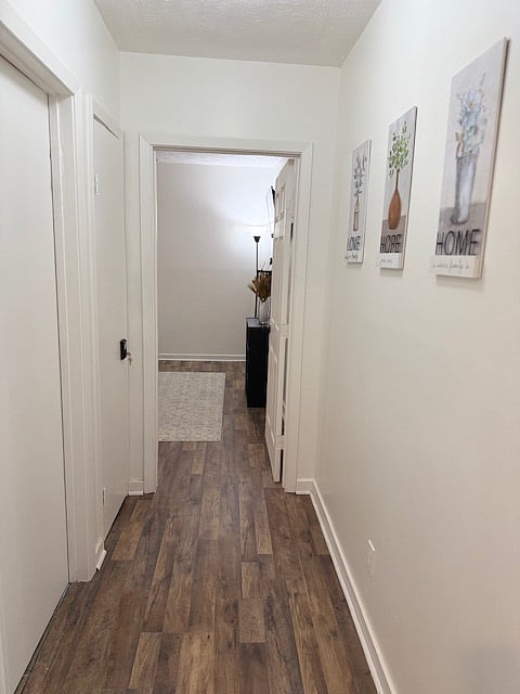 Furnished Finder property 704953_1 photo 5