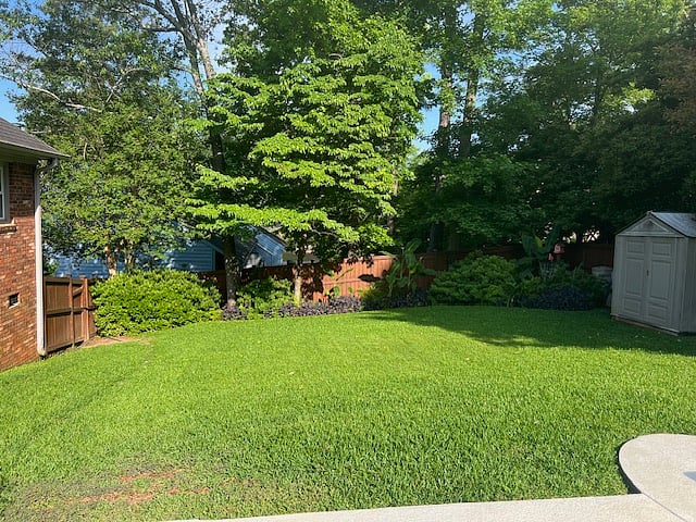 Back Yard