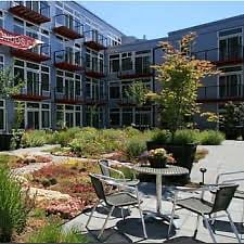 Common area courtyard with seasonal plantings (extra harvest from sushi restaurant on first floor goes to tenants). There are tables and a gas grill