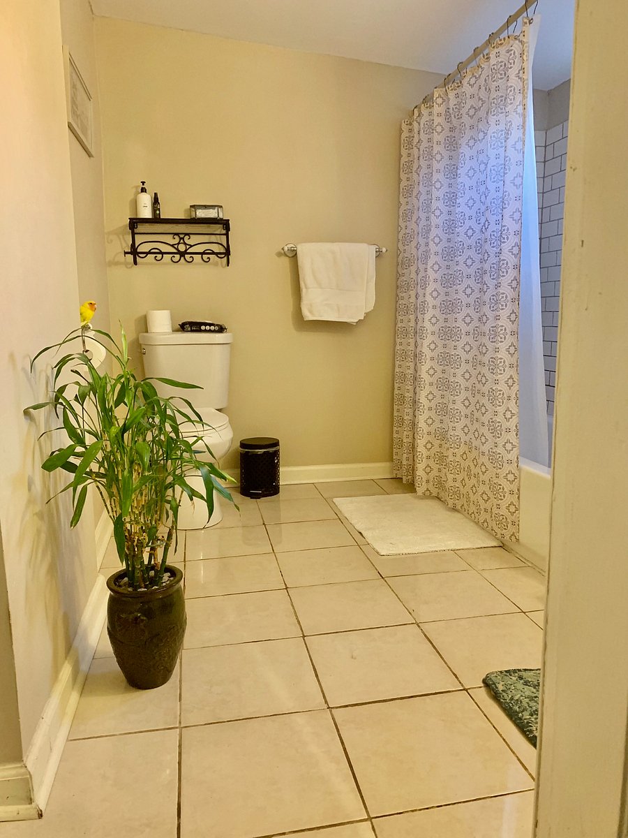 Furnished Finder property 705148_1 photo 5