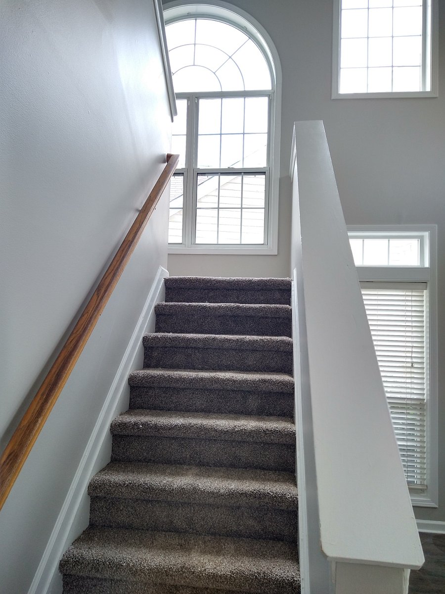 Furnished Finder property 705175_1 photo 19