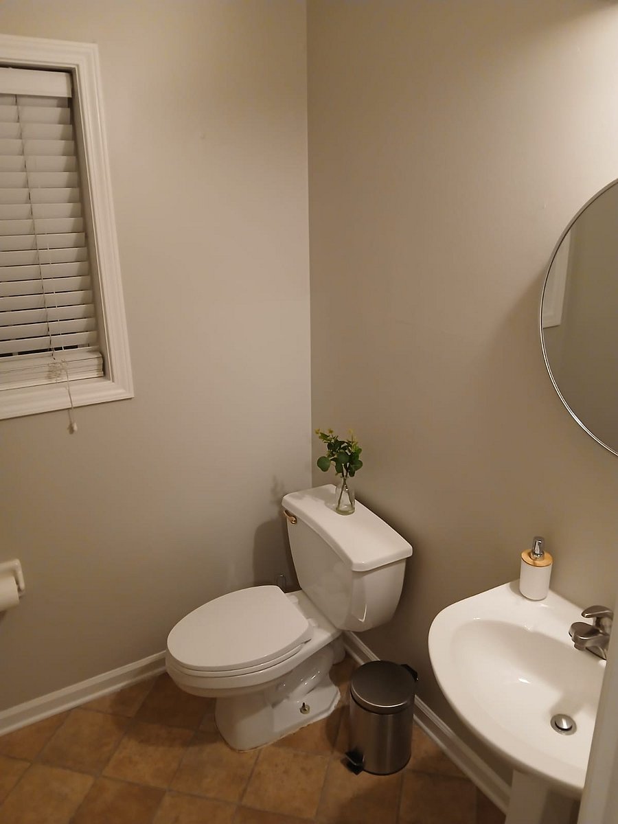 Furnished Finder property 705175_1 photo 26