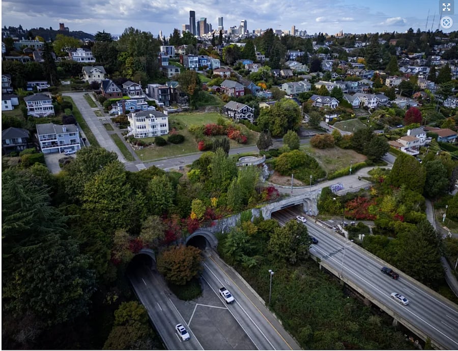 Neighborhood