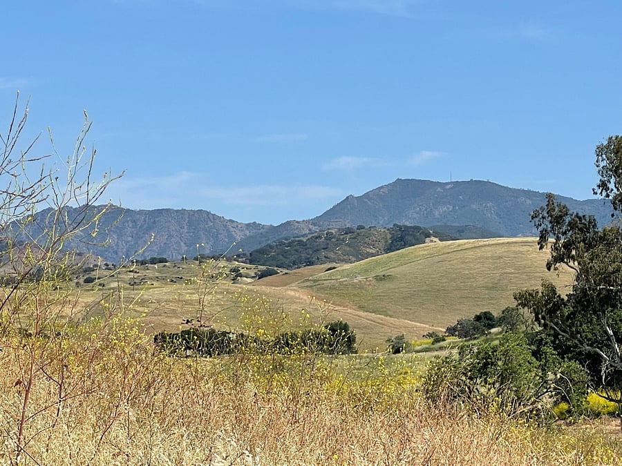 Walking trails behind the unit.