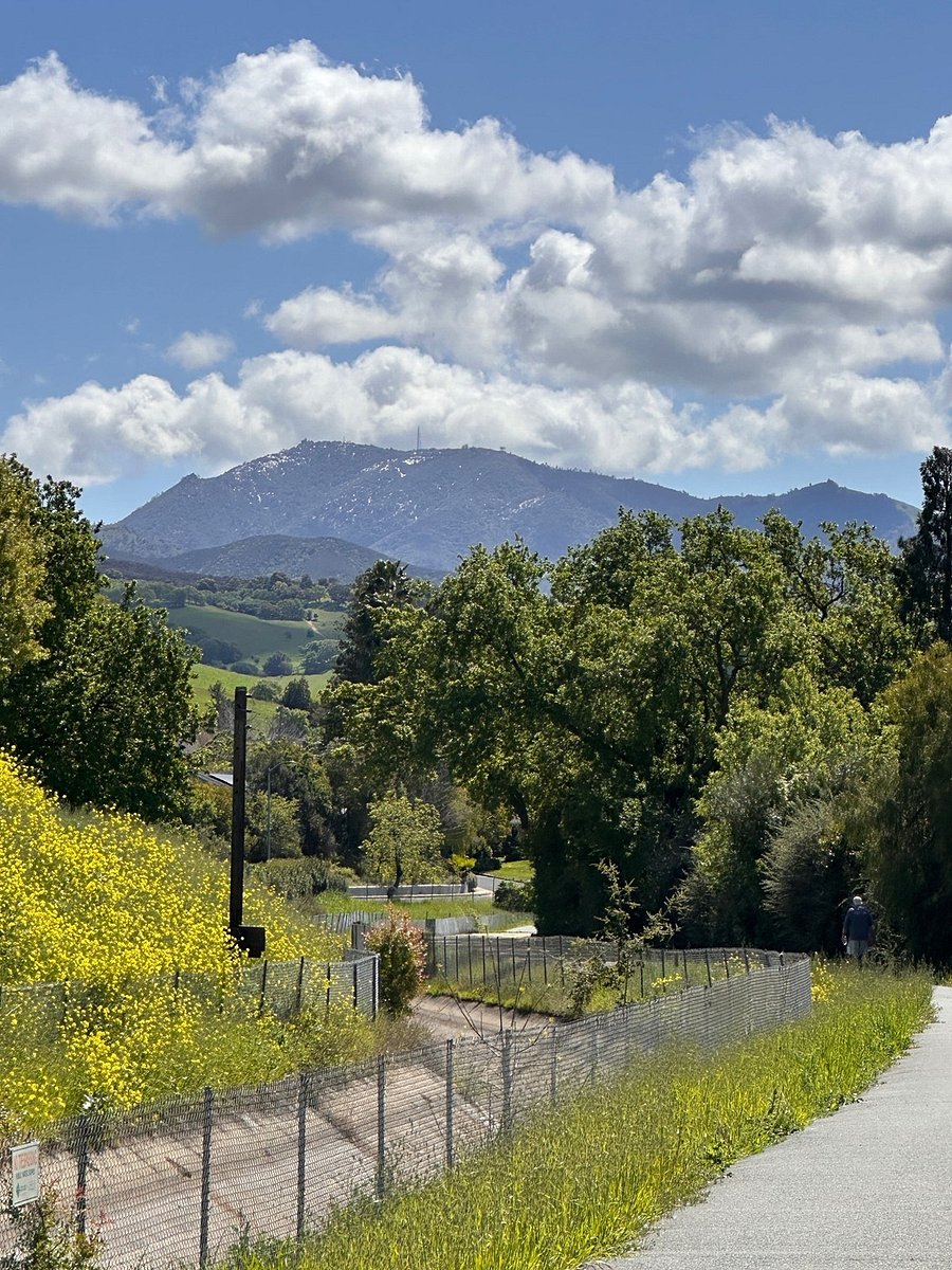 Walking trails on the other side of Lime Ridge.