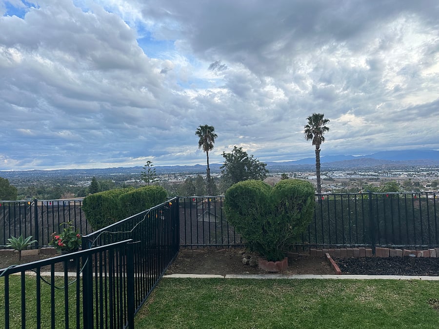 Another beautiful view from backyard.