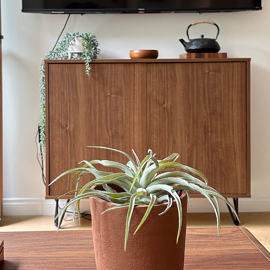 Cabinet under TV for small item storage.