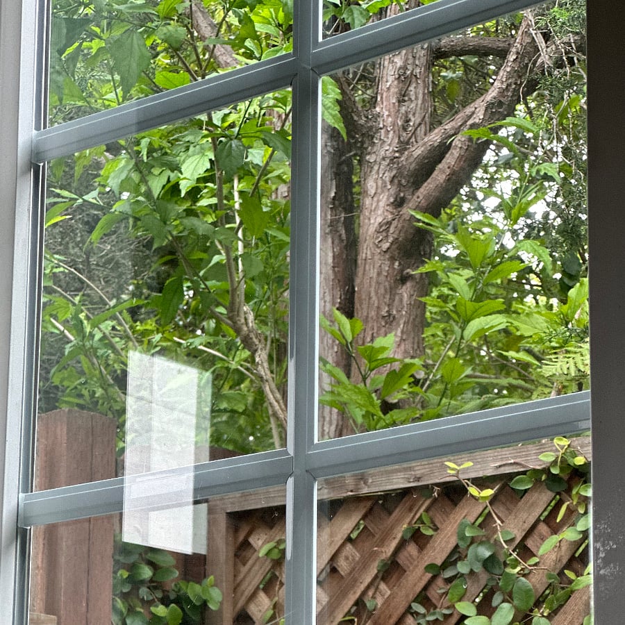 Greenery outside bedroom window.