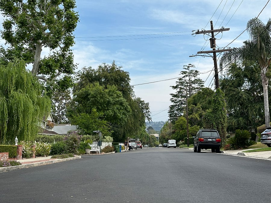 Tree lined Street