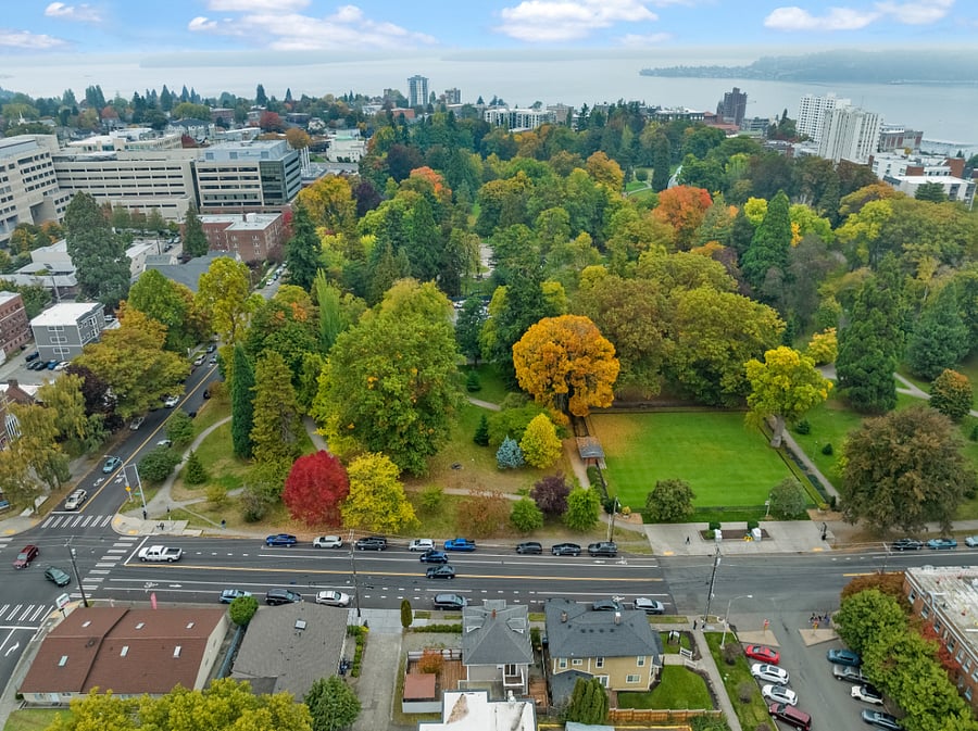 Drone View of Wright Park above 808 at Wright Park, Which is 3rd House From Left
